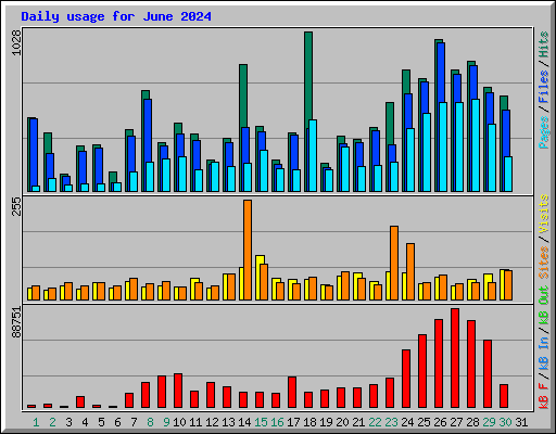 Daily usage for June 2024