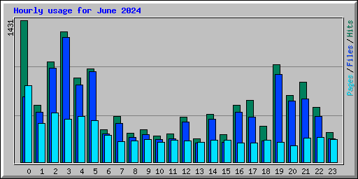 Hourly usage for June 2024