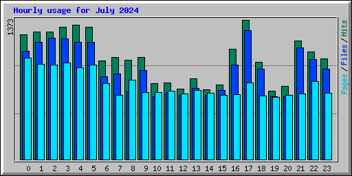 Hourly usage for July 2024